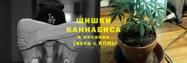 прущие крисы Богданович