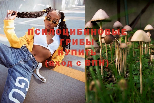 таблы Богородицк