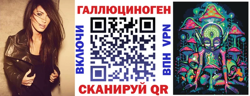 где купить наркоту  Кологрив  Галлюциногенные грибы Psilocybe 